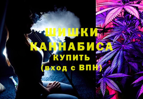 шишки Аркадак