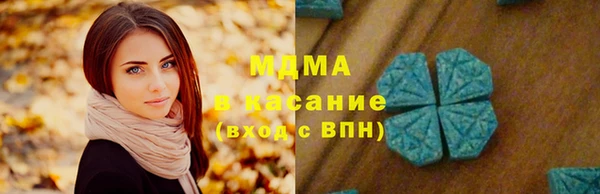 шишки Аркадак