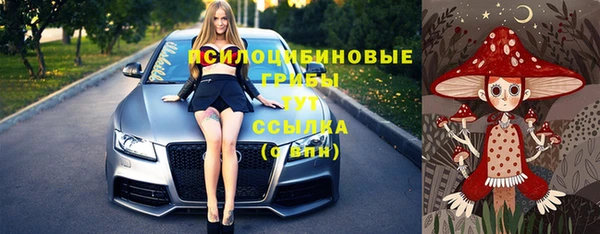 шишки Аркадак