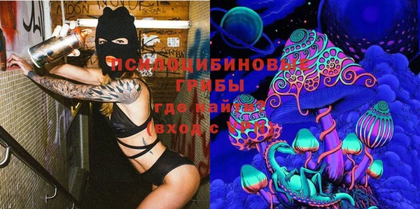 ECSTASY Няндома