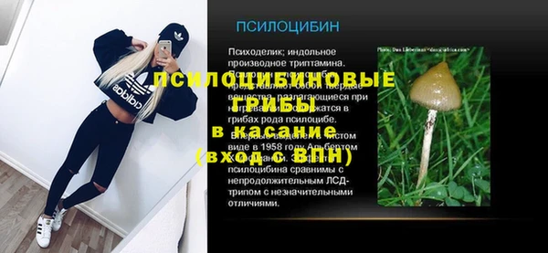 шишки Аркадак