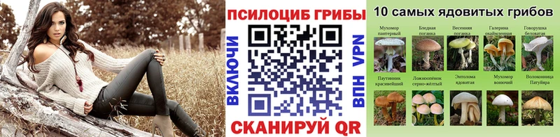 Псилоцибиновые грибы Magic Shrooms  мега ТОР  Остров 
