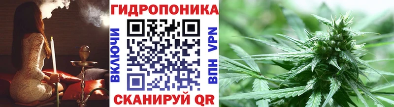 Шишки марихуана конопля  omg рабочий сайт  Остров 